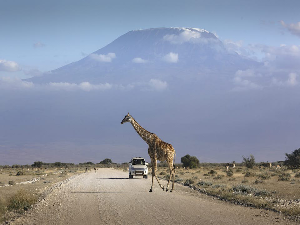 KENIA Y TANZANIA II