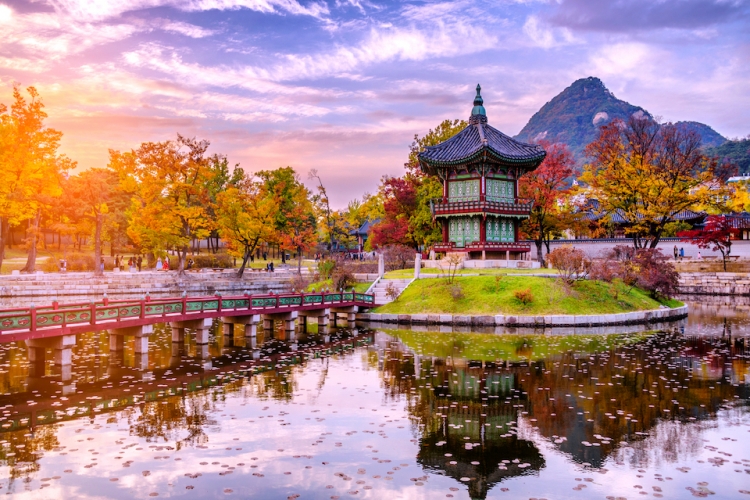 COREA BASICO