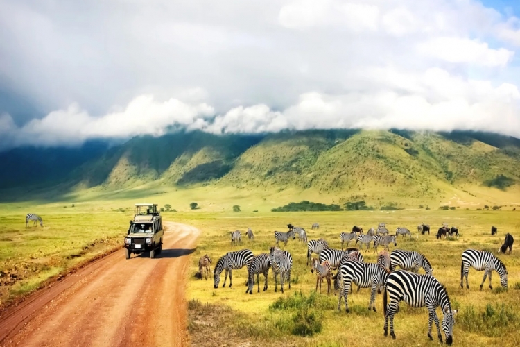 LA GRAN EXPEDICION AFRICANA TANZANIA