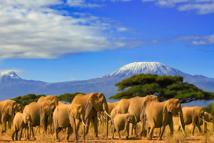 LA GRAN EXPEDICION AFRICANA TANZANIA