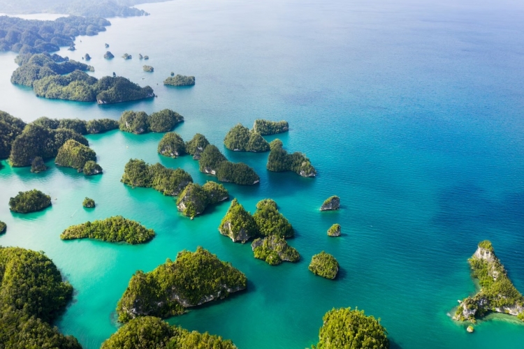 INDONESIA MAGICA