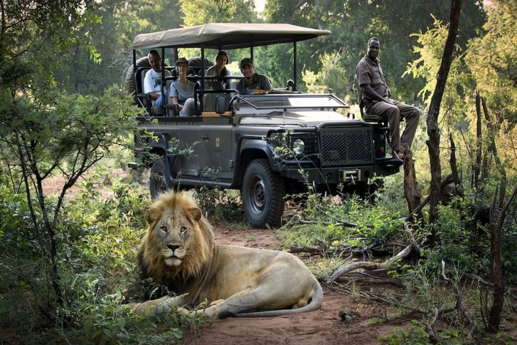 SABOR AFRICANO